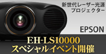 Epson_bana_3